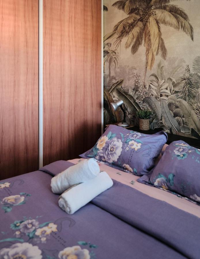 Apartament Appart'Eden : Vue Panoramique Sur Saint-Denis Sainte-Clotilde Zewnętrze zdjęcie