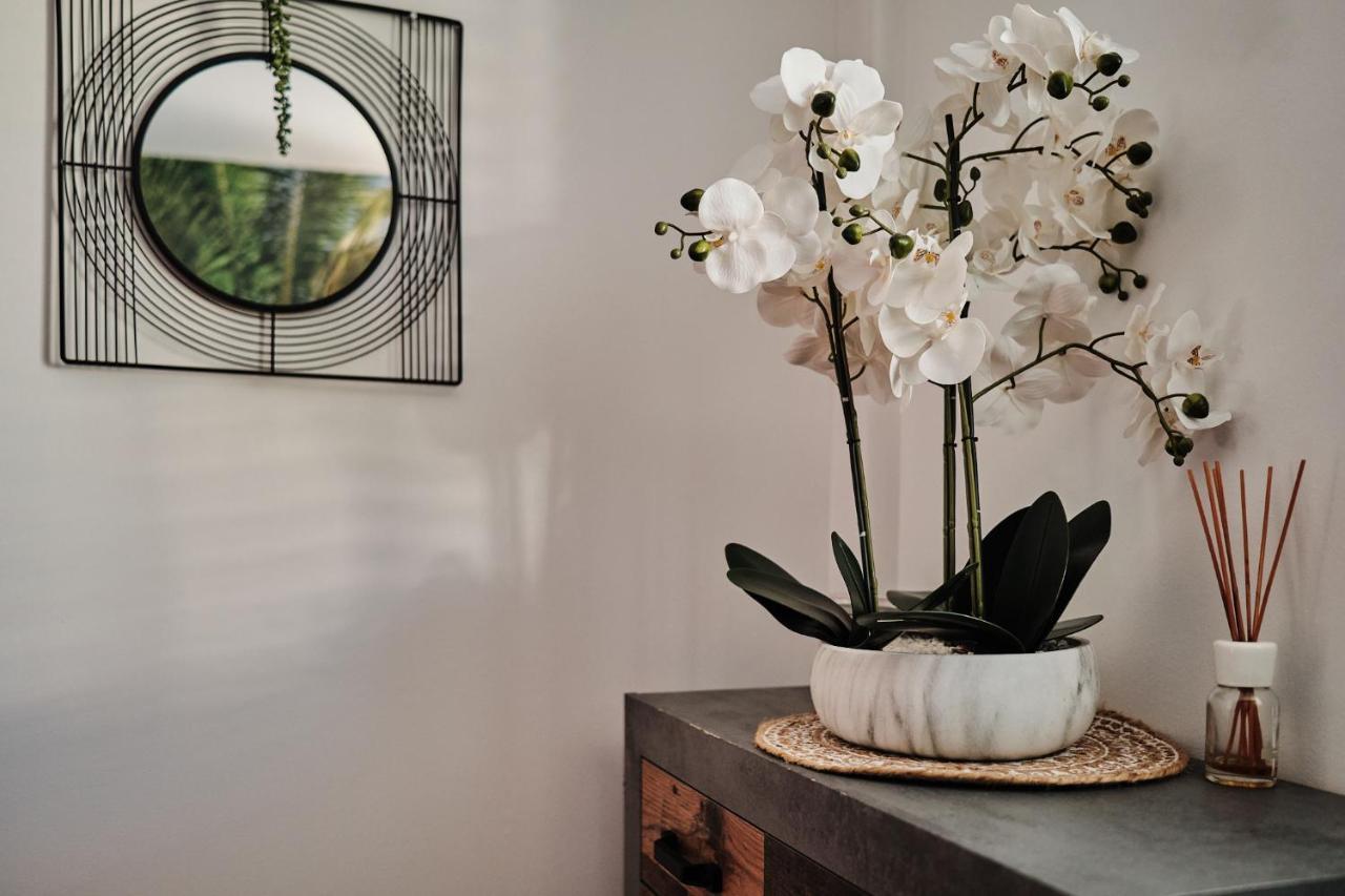 Apartament Appart'Eden : Vue Panoramique Sur Saint-Denis Sainte-Clotilde Zewnętrze zdjęcie